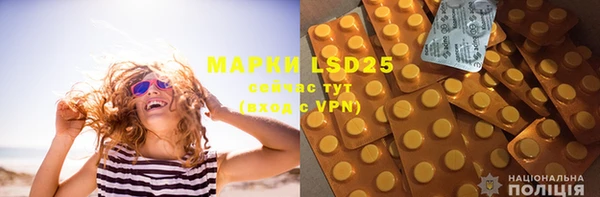 сатива Горнозаводск