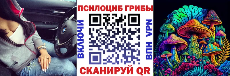 Псилоцибиновые грибы прущие грибы  Купить где  Абинск 